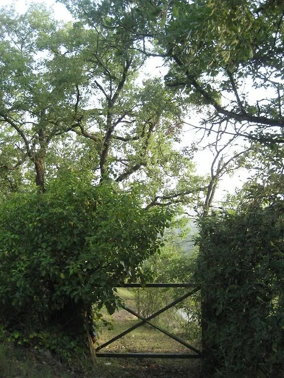 乡村民宿 Moia Entre Roures旅馆 西班牙