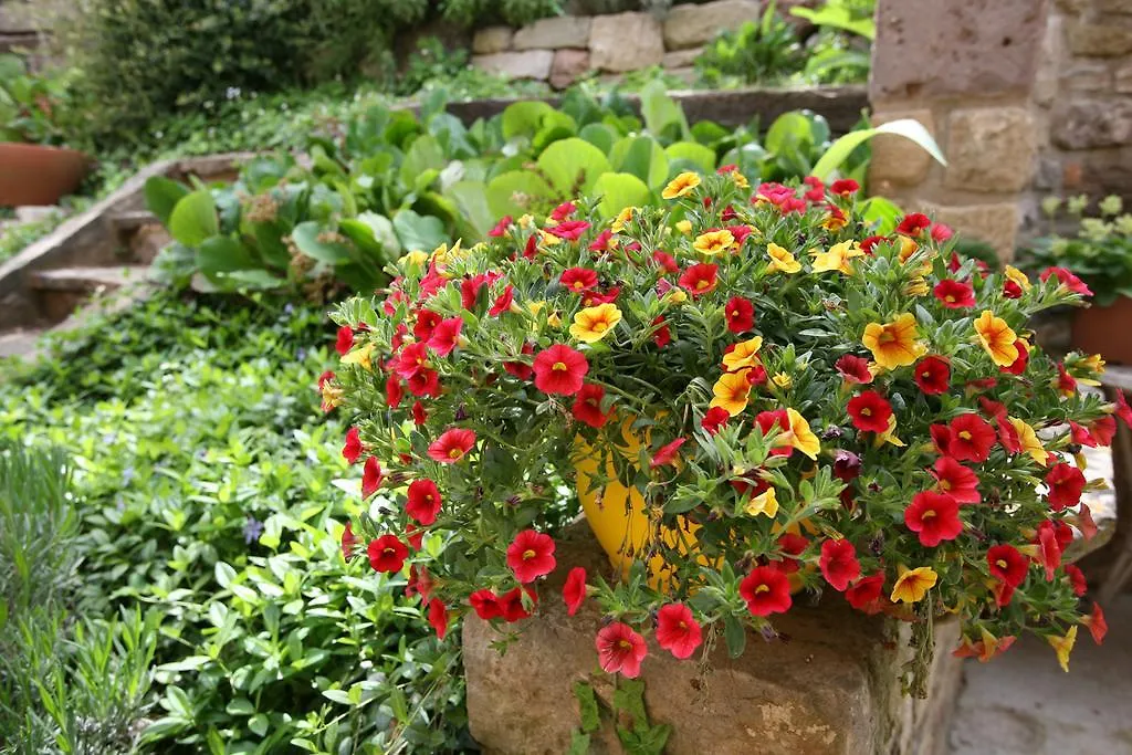 Country house Entre Roures Guest House Moia
